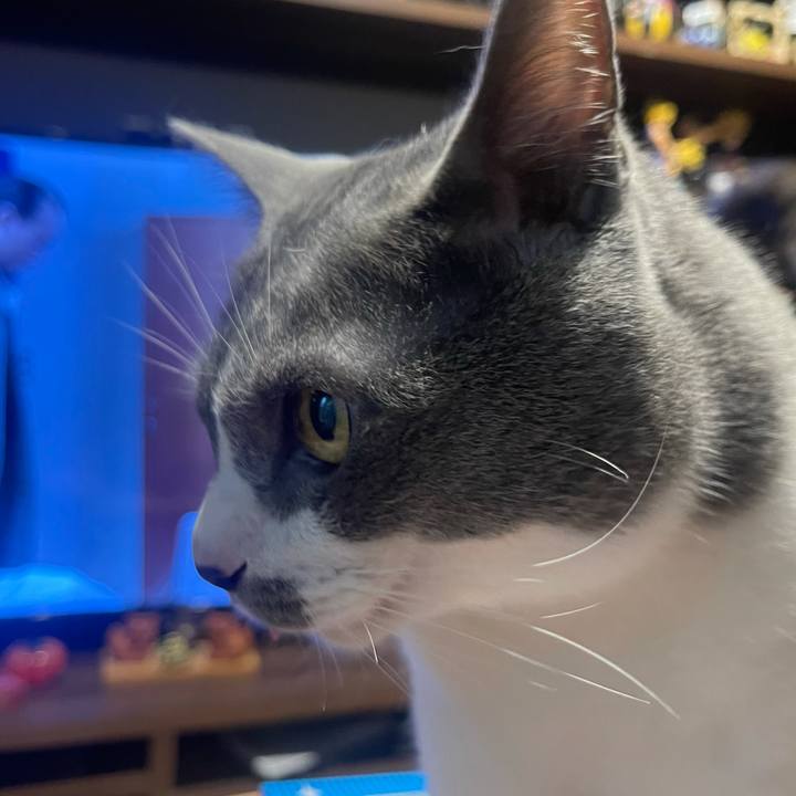 Ae36eb12 9aa3 48f8 b030 cd59f90d1810 1624276002627