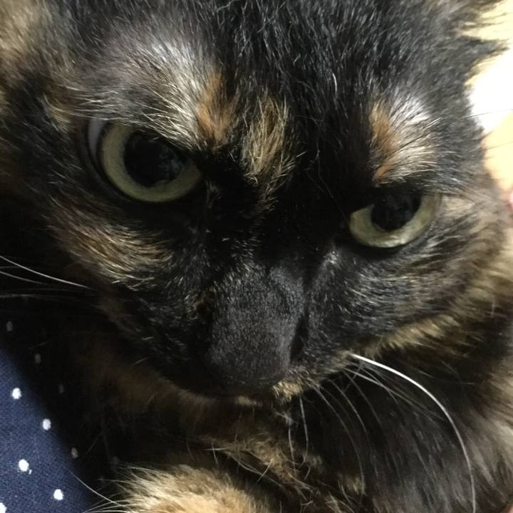 Ae37156e f448 41c4 bc1f 07f025528d53 1588851272360