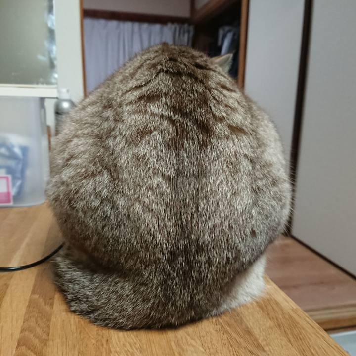 Ae371b0f 5ff4 4f1a 8962 e7908632712d 1556323204917