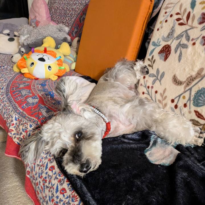 Ae37273b b858 4e88 8983 1775db7ae0ed 1755867552148