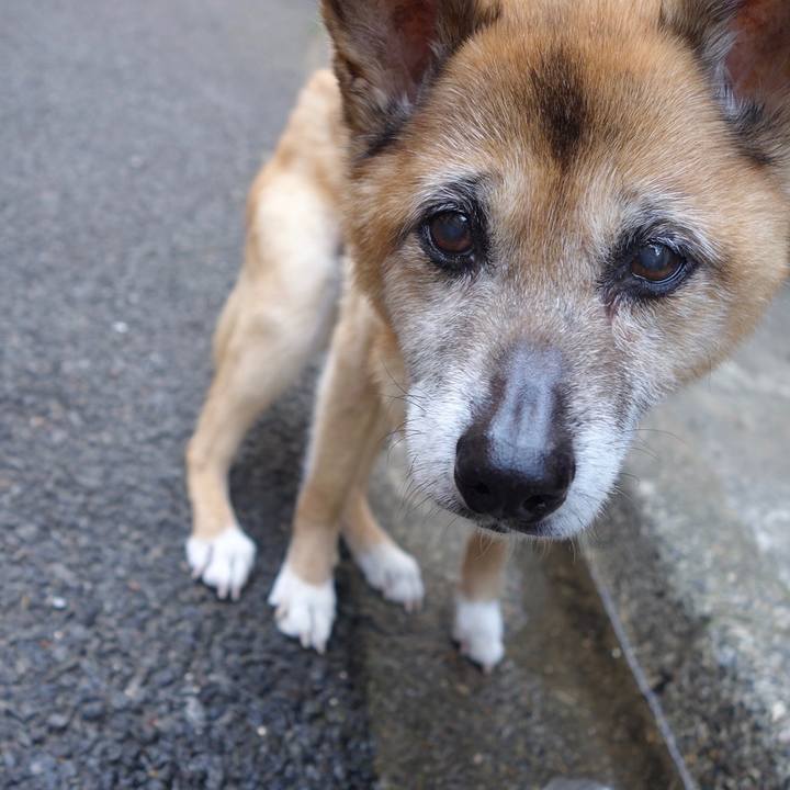 Ae3733ce b80a 4092 9fbb e94108752ee3 1560896756205