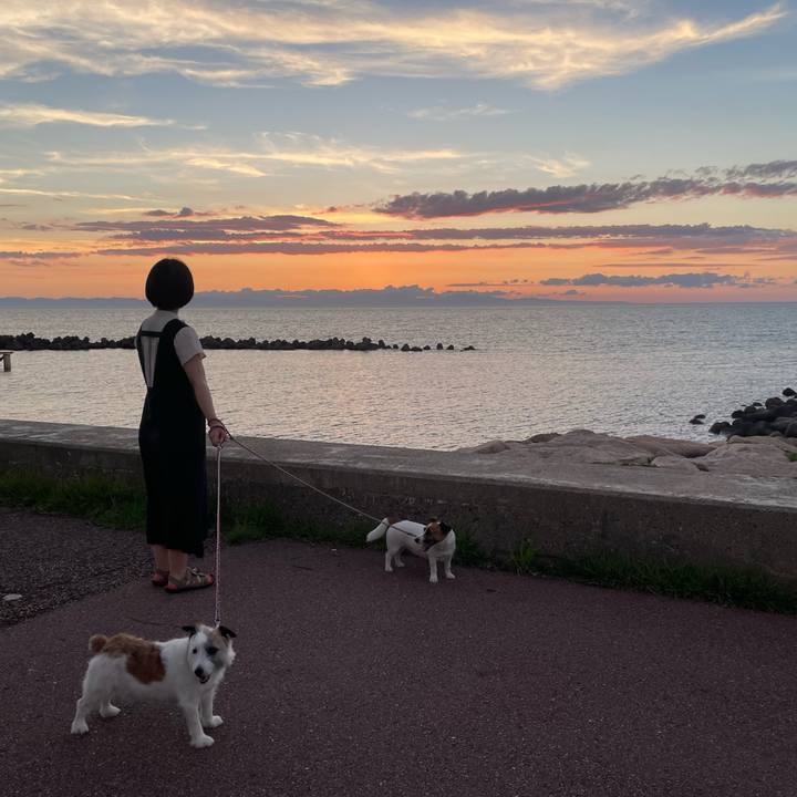 Ae3741b8 2795 443c 82e6 19708a85a75b 1721603995433