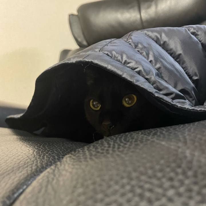 Ae375c39 d279 4e88 afcc aff989d22049 1672146608978