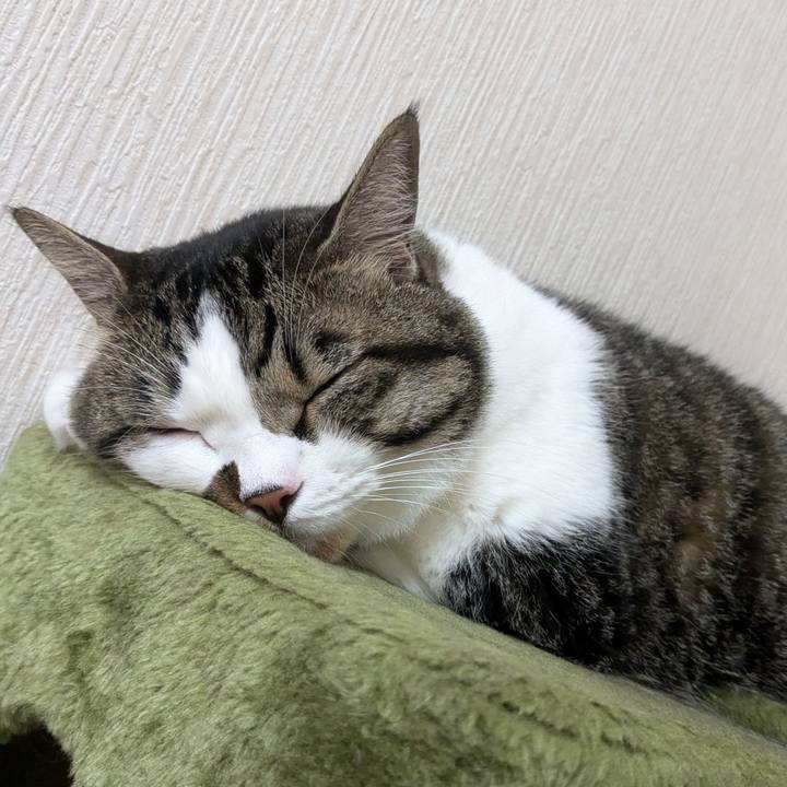 Ae376932 ff05 460b 9613 89196d037cf6 1722560731513