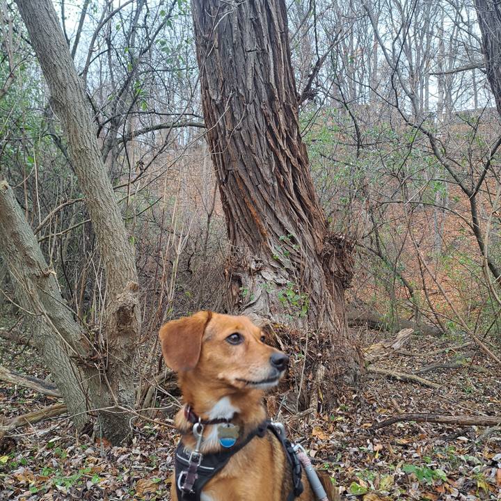 Ae37c51f 2c87 4324 ac04 ef2e3ce01103 1763778515975