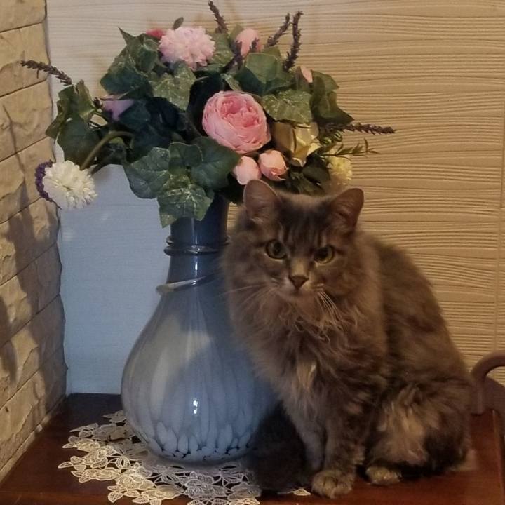 Ae37ea6e dc0e 4554 9514 c843a8f340a7 1566606015872