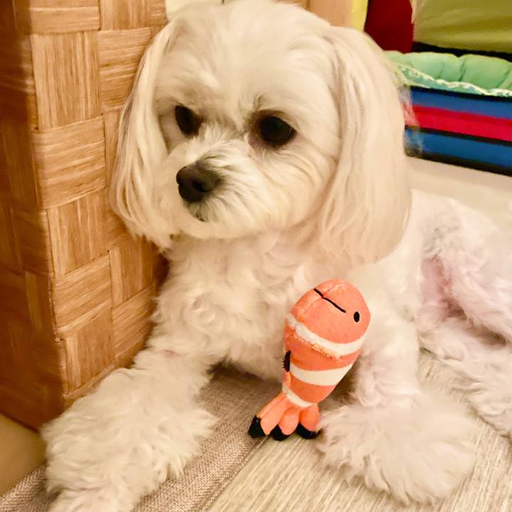 Ae384234 6f4b 4734 8449 c226b3ced3c7 1624919656286