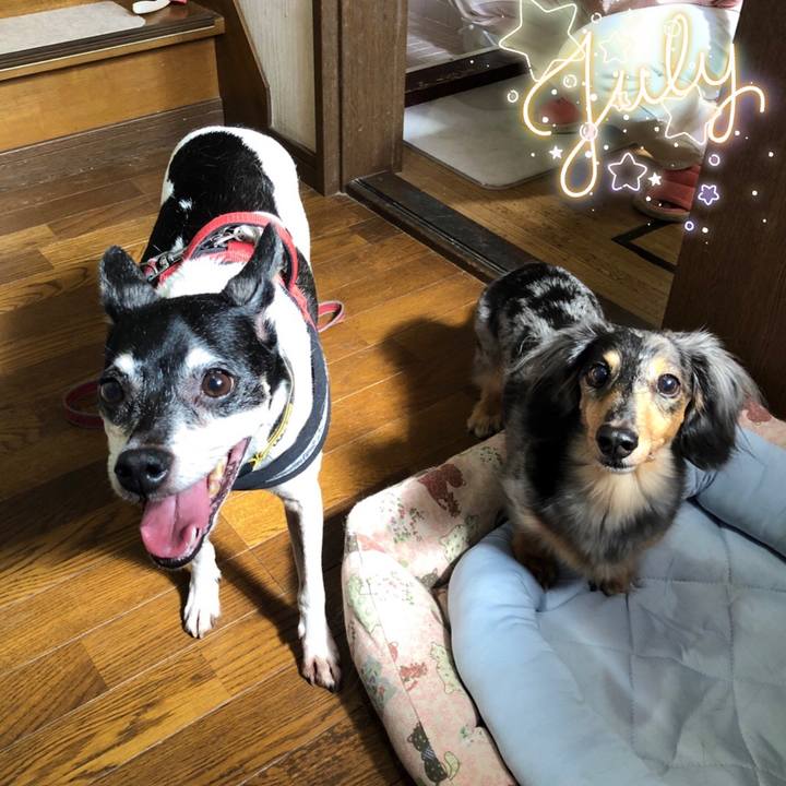 Ae38440c f4be 4bf4 92f3 7f22f5f19458 1562460474719