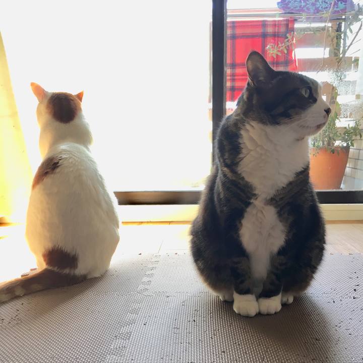 Ae387d0a 3e33 4756 8dd6 e32d6333aace 1518920070902