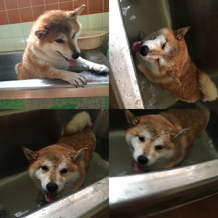 Ae388423 568c 4fbe 94b1 6ac6a4df8b0f 1599268003412