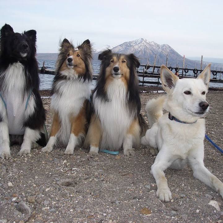 Ae3888b1 a90f 45ae 951b 371a0f738fc3 1576143205391