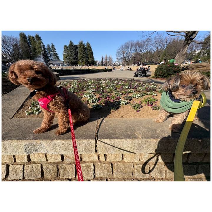 Ae38b804 54a5 41e5 9b46 1f83bf35d8d7 1768714049656