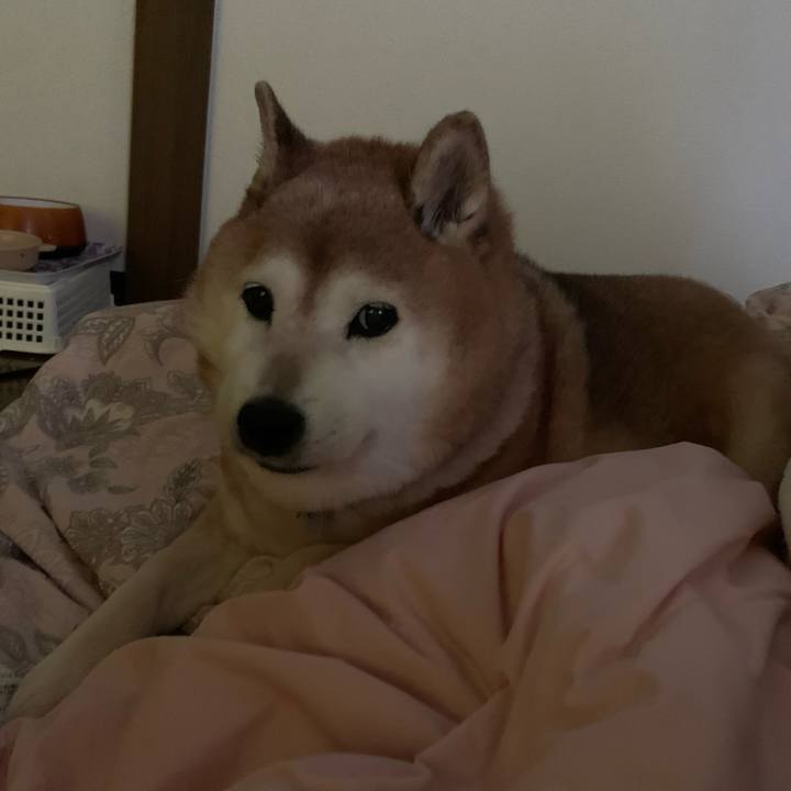 Ae38ec3d 089d 4bcd 9b69 8f6e6146e1cc 1578785913414