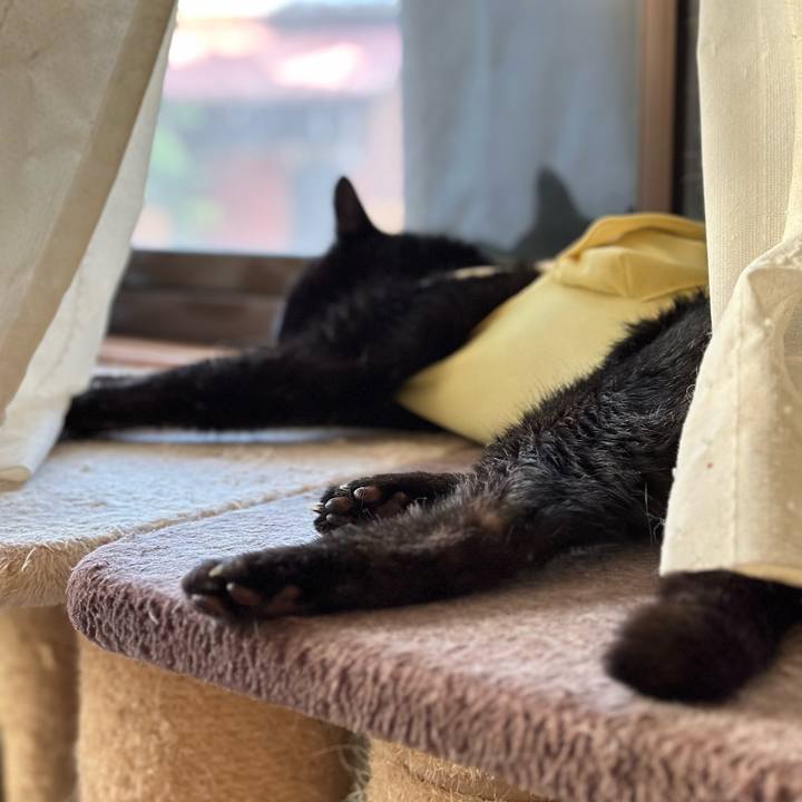 Ae3922b6 c4c0 4195 ba3e 90d14be686c9 1721778921836