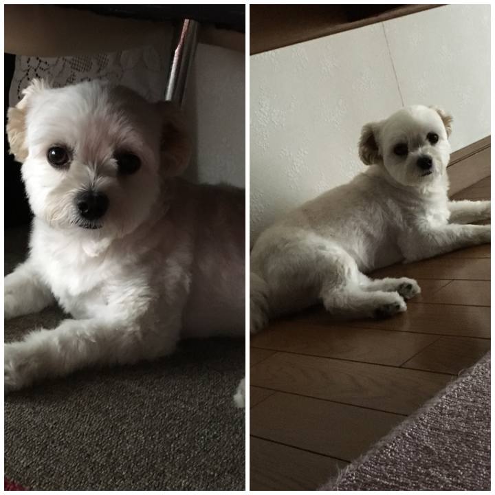 Ae39335d f518 4cc1 87b1 0f299c25c513 1531805817225