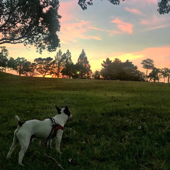 Ae3957be b2c6 489c b0ec 63b53dd6eb09 1533294592024