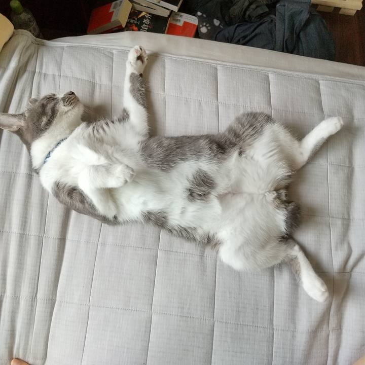 Ae3961e9 7f2a 42a7 80db 11d10c167998 1598488085414