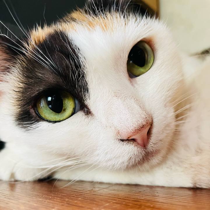 Ae3968c7 6f7e 4b85 acdd 531b7b2d8984 1662169435666