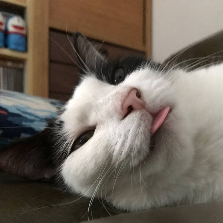 Ae396b76 ba59 45fb 9fb9 bb5b6aaae4f4 1569204668364