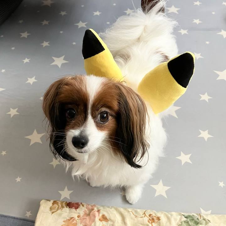 Ae397763 c778 435b 8cc6 cca86b813069 1722814504737