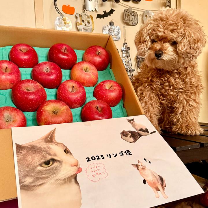 Ae39bb82 af0f 4b81 90e9 4434cc9aea3f 1764287761845