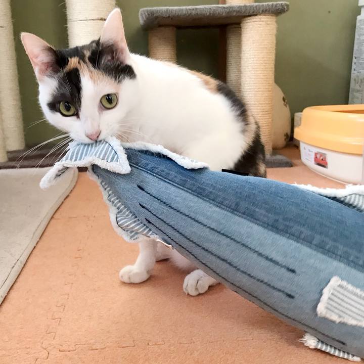 Ae3a2e36 7280 40b8 ac5e e1b657d44312 1536716147514