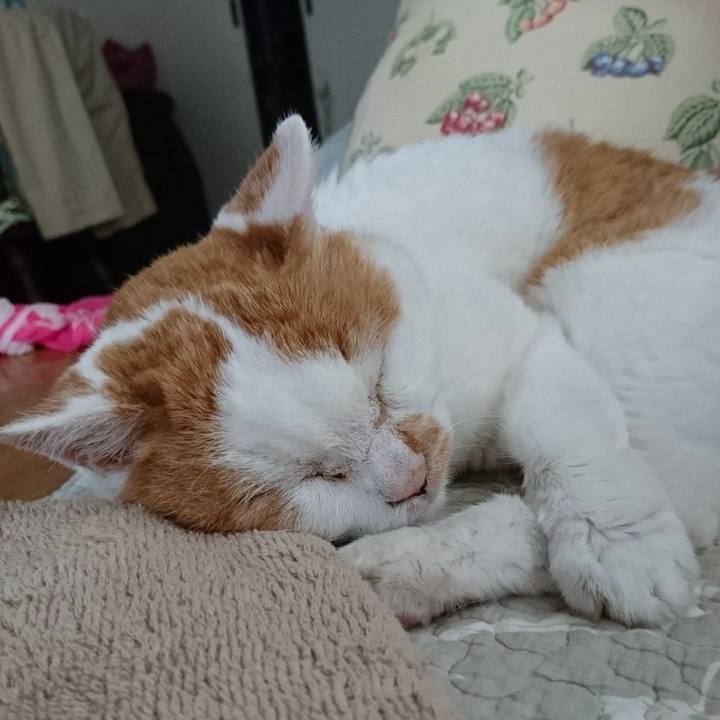 Ae3a44f0 0e4f 4ad2 a765 fce846f102e8 1660959765713