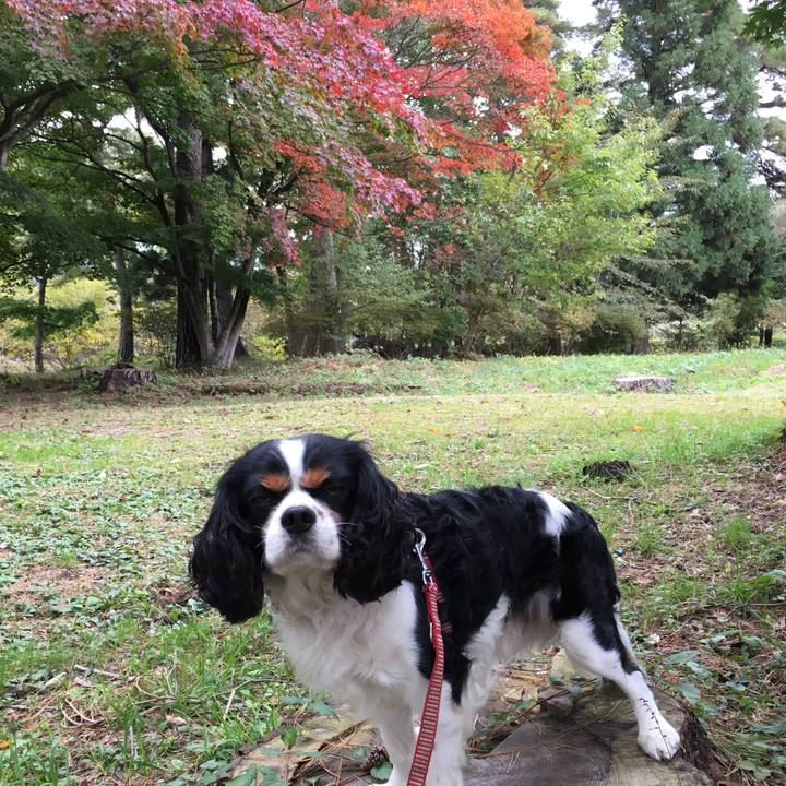 Ae3a4bfa e43d 44d8 9baf 675616d8cbdf 1508304634918