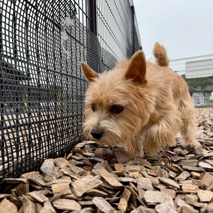 Ae3a65f3 38ed 4585 8727 3580d9910cae 1761394583062