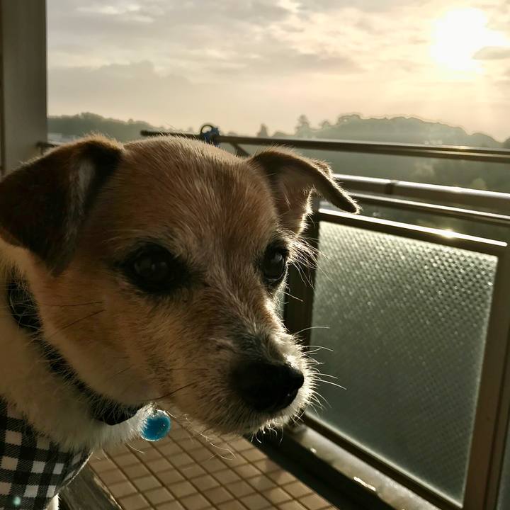 Ae3a69a2 ff51 4147 9330 e29fb99ffc66 1636409474061