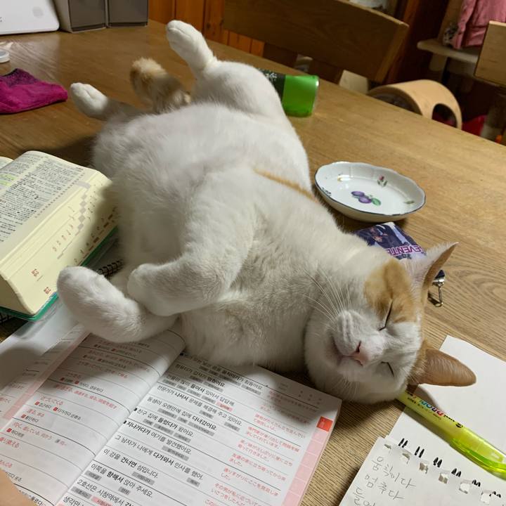 Ae3a895f 1428 4d59 a828 33a64c3c3090 1583506827974