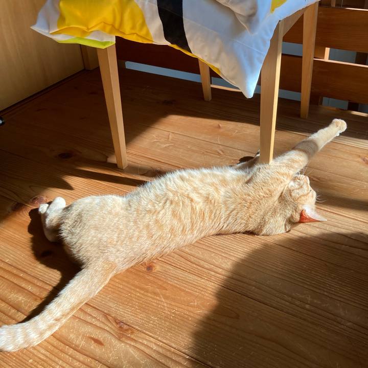 Ae3aaa4e 8c81 4188 bf03 5d512aaae00e 1656464624703