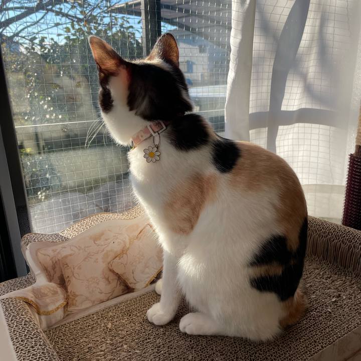 Ae3abc02 e4b4 4722 b18d 2855126547f3 1675119586858