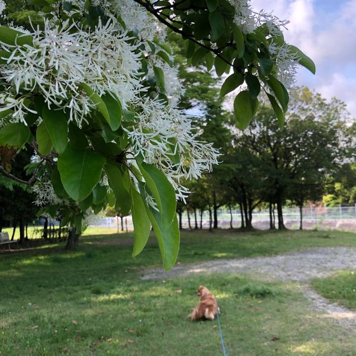 Ae3aed06 084f 4dde b34e d84cf0a1796e 1557101765866