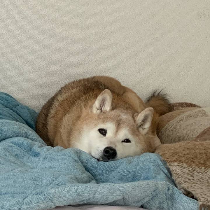 Ae3b0e55 721e 4afb 9b71 b30ca897173e 1677380752713