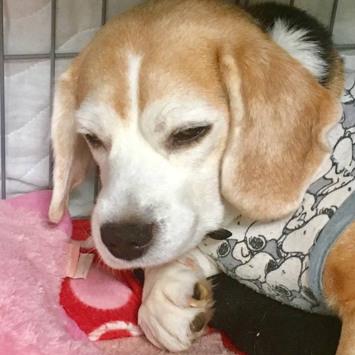 Ae3b1929 2146 4ec9 a83d 917b8e3c97e3 1744948926065