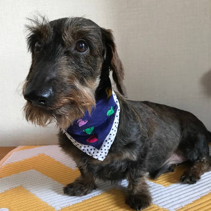 Ae3b3d09 91a8 4ae0 9dd4 5e8158f0ed6a 1529215187092