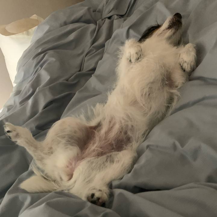 Ae3b3dea 4654 4f46 ab5e 2443f7607c17 1749568279859