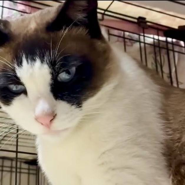 Ae3bdc13 ca2a 43e6 beca 597cac5d8c68 1747389753286