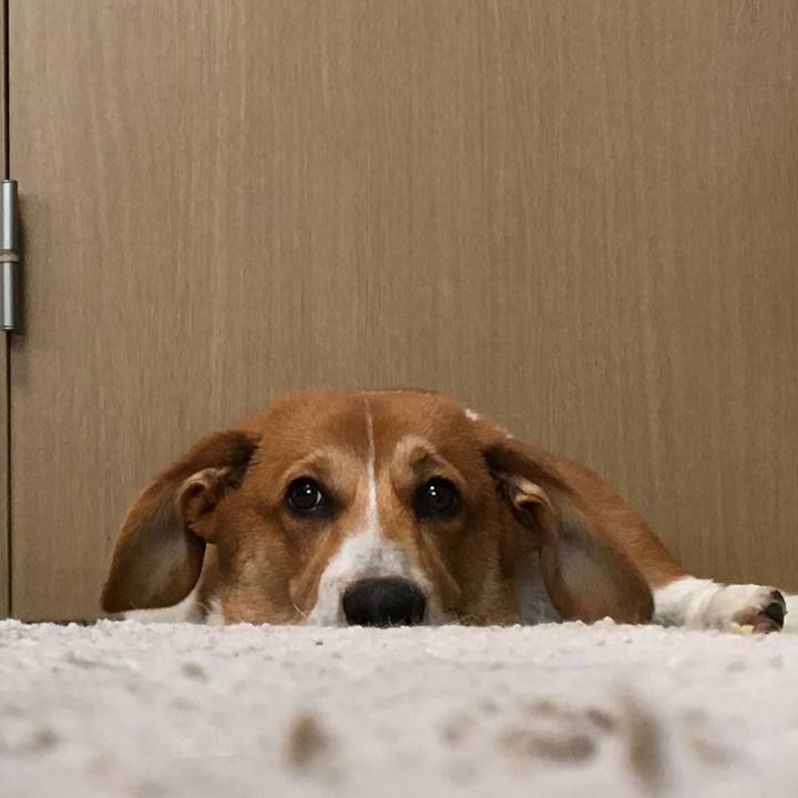 Ae3c1d6d 62e4 4f45 9a24 739c4efbfd0a 1597790455775