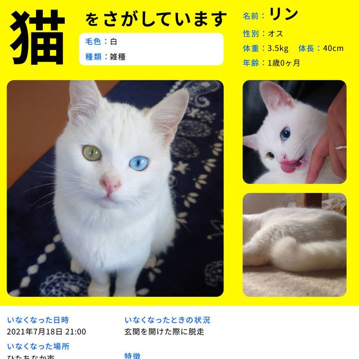 Ae3c404b a1f9 4f76 b34c 4b4e376277b5 1627307409511