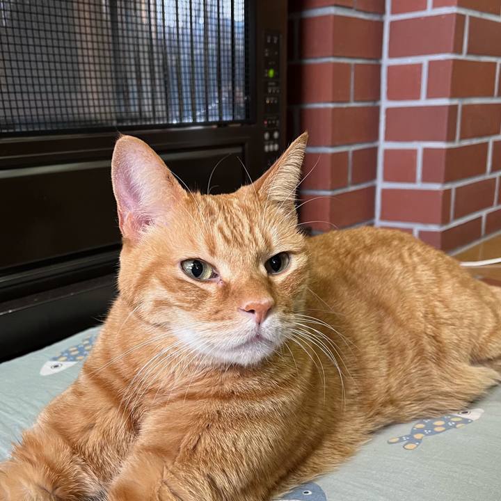 Ae3c5af8 385f 408a 8733 4aadf47e576e 1765177086689