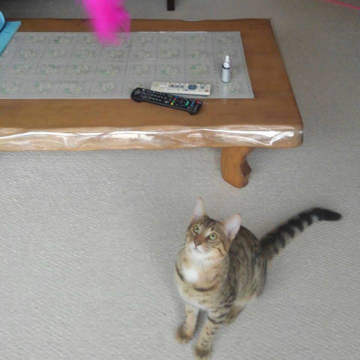 Ae3c71e0 ef3c 4ad1 a778 314662b51ec6 1570229737859