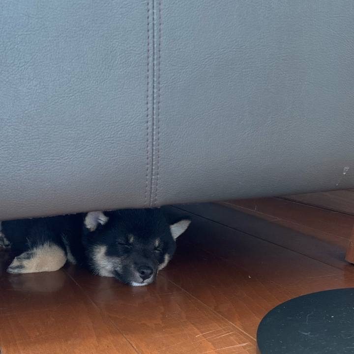 Ae3c7d76 8c5f 4c78 9bf0 e100d57447cd 1598523838408