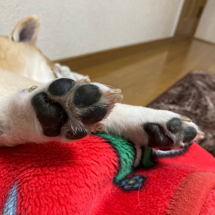 Ae3c849f 1dff 4902 8d78 46738aaf8b0a 1615881506130