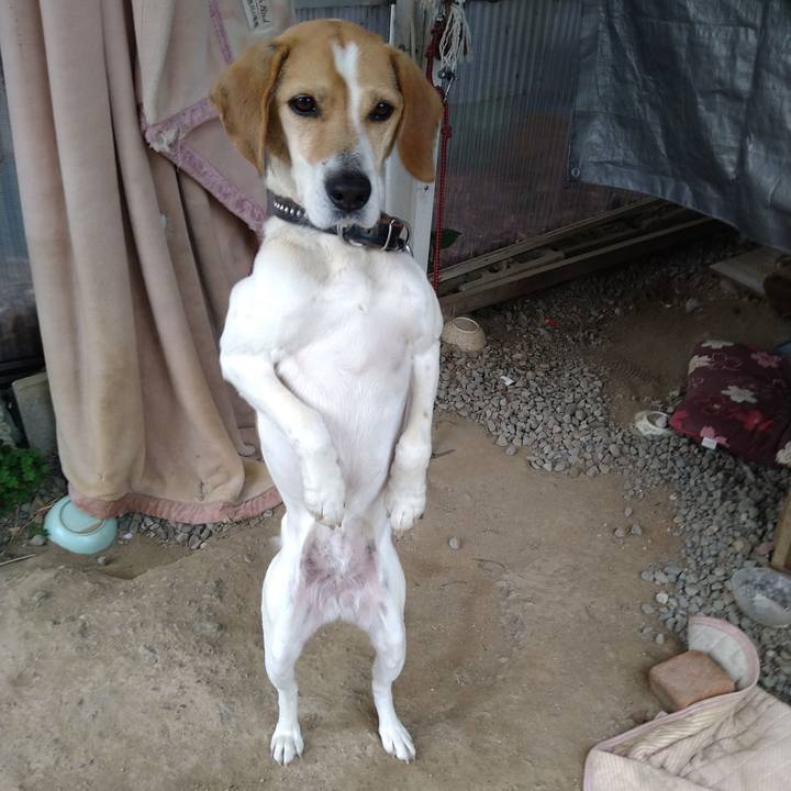 Ae3c8d78 27e7 4fa1 bffa 0d77ae53e72d 1649666129013