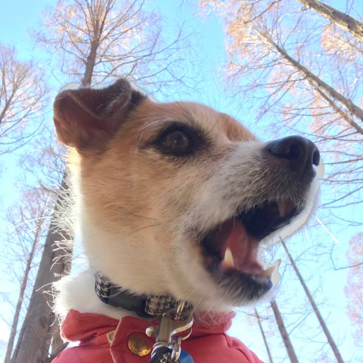 Ae3ca940 40c1 482b b898 b741b5158c97 1641192906053