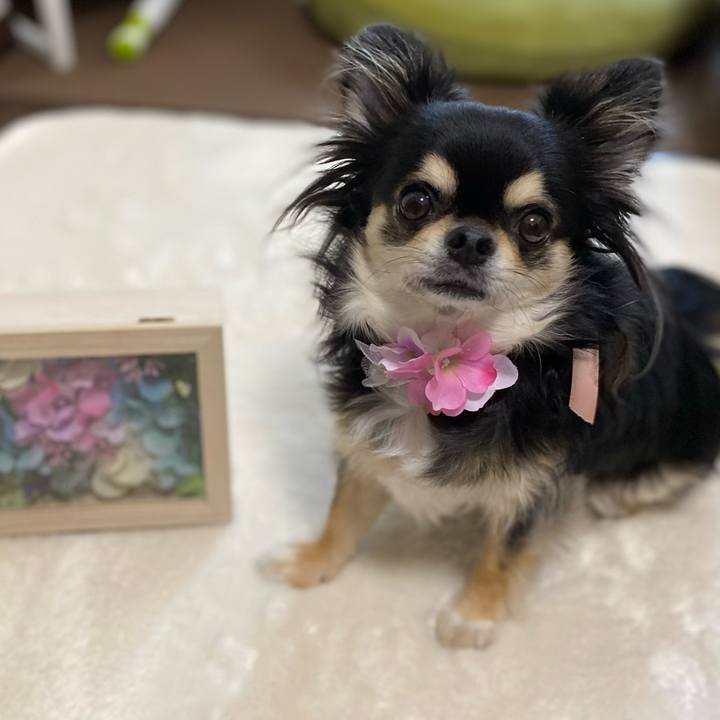 Ae3cc8ce d962 444f 8f03 fd46f2810737 1654235627063