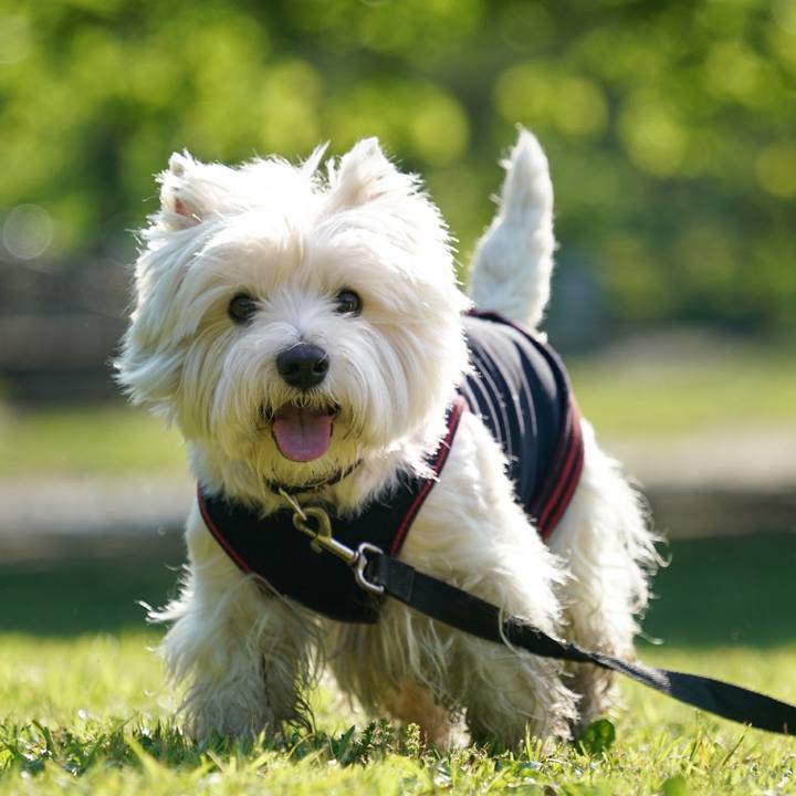 Ae3d4537 fb63 4137 837f 6c7995a896dd 1526043891324