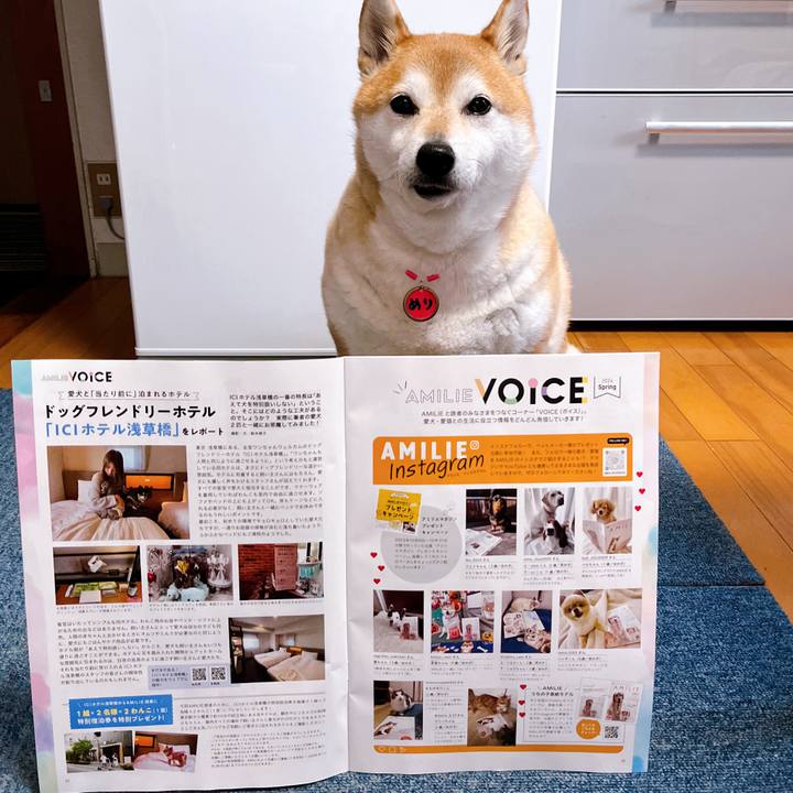 Ae3d46dc a4ba 4f6e b6c6 477712dcbd71 1711959694888